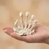 Adorno de Hueso de Mano de Calavera Impreso en 3D Decoración de Escritorio para Hogar y Oficina Adorno para Arreglo Festivo Venta al por Mayor Transfronteriza