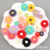 Accesorios de resina para horquillas, material de girasol, ligas elásticas, margarita pequeña, bolsa de la suerte, pegamento cremoso, funda de teléfono para niños DIY, accesorio para el cabello