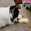 Brinquedo para pet em TPR simulando amendoim, faz barulho, durável e resistente a mordidas, adequado para Corgis, Bulldogs Franceses e cães de porte pequeno a médio para aliviar o tédio