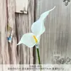 Flor Artificial de Lirio de Calla de PU Rama Grande Lirio de Calla Blanco Decoración de Boda Decoración del Hogar Flor Falsa Venta al por Mayor Flor Falsa de Comercio Exterior