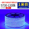 Tira de LED de Alto Voltaje 220V para Uso Doméstico, Ultra Brillante para Sala de Estar, Pared Exterior Comercial, Exterior, Patio, Impermeable