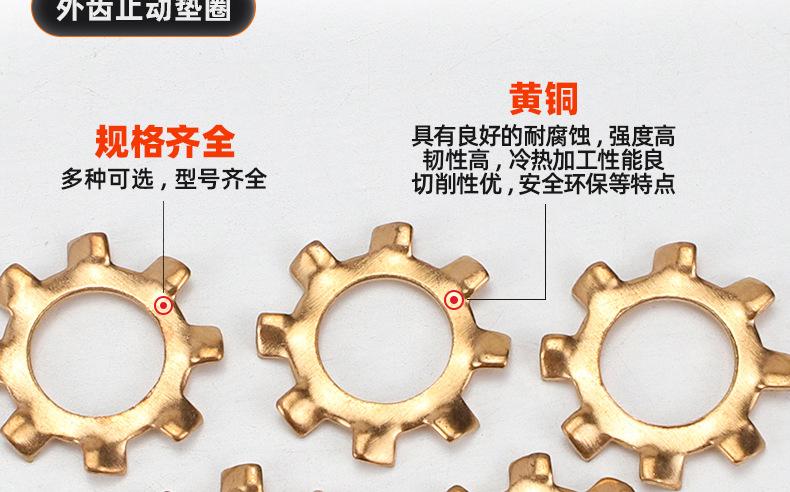 黄铜外齿止动垫圈_03_10.jpg