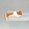 Nuevo y popular adorno decorativo para acuario de gatos, para ordenador de escritorio o coche, con pegamento en crema.