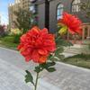 2 dalias individuales, flores artificiales para salón de bodas, exhibición en el hogar, flores falsas al por mayor
