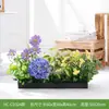 Hc-Cd3 Arreglo de Macetero de Flores de Planta Verde Simulada Combinación de Partición de Plantas Decoración de Paisajismo con Flores Artificiales Flores Falsas