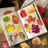 50 Piezas de Pegatinas Transparentes de Pétalos de Hojas Caídas, Hojas Secas Realistas Estilo Ins de Otoño, Decoración Impermeable para Diario, Pegatinas para Tazas de Agua y Auriculares