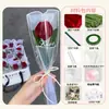 Festival de la Diosa Limpiapipas Tulipán 8 de Marzo Día de la Mujer Ramo Hecho a Mano DIY Paquete de Materiales Regalo Día de la Madre