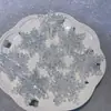 [Serie Plateada Láser] Joyería Hecha a Mano Luminosa de Luciérnaga DIY - Flor de Resina