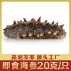 Fornecimento Pronto Dalian Congelado Pronto Para Comer Pepino do Mar Pepino do Mar Pepino do Mar Liao Pepino do Mar Fresco 20g Embalagem Individual a Vácuo