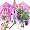Lámpara LED para plantas con soporte anti-plegamiento transfronterizo de comercio exterior, lámpara para plantas con control remoto, luz para acuarios, paisajismo y viveros