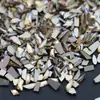24 Compartimentos Color Champagne Pequeño Fondo Plano Forma Irregular Mixto Pedrería para Uñas Vidrio Pedrería Celebridad de Internet Melade Decoraciones para Uñas