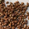 Materiales para manualidades de jardín de infantes cáscaras de fruta seca cáscaras de nuez cáscaras de cacahuete cáscaras de pistacho cáscaras de semillas de girasol piñas bellotas