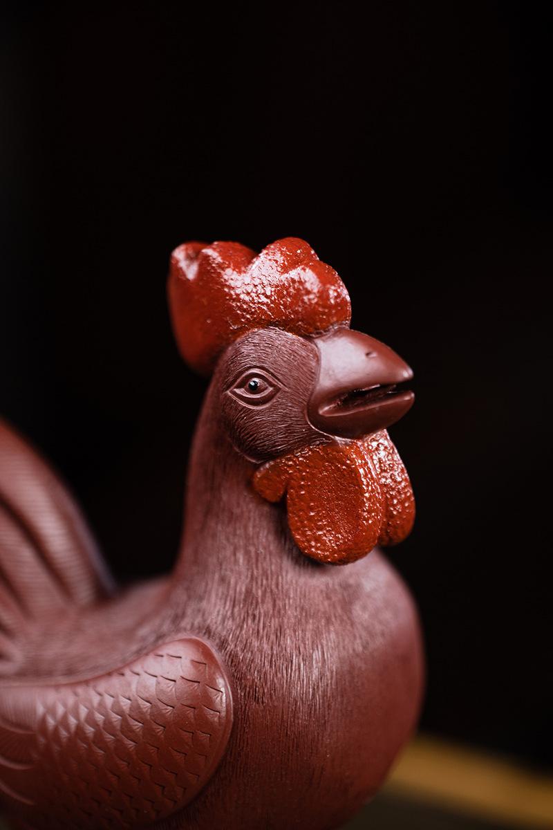 公鸡2020904 (15).jpg