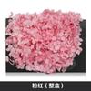 Anna Hortênsia Flor Eterna Rosa Eterna Caixa de Presente Material da Flor Flor Seca Flor Preservada Material da Flor Eterna
