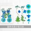 Bolsa de flores secas con relieve, combinación, bolsa pequeña, muestra de planta, flor, hoja real, flor real, pegatina, pétalo, maquillaje, marcapáginas