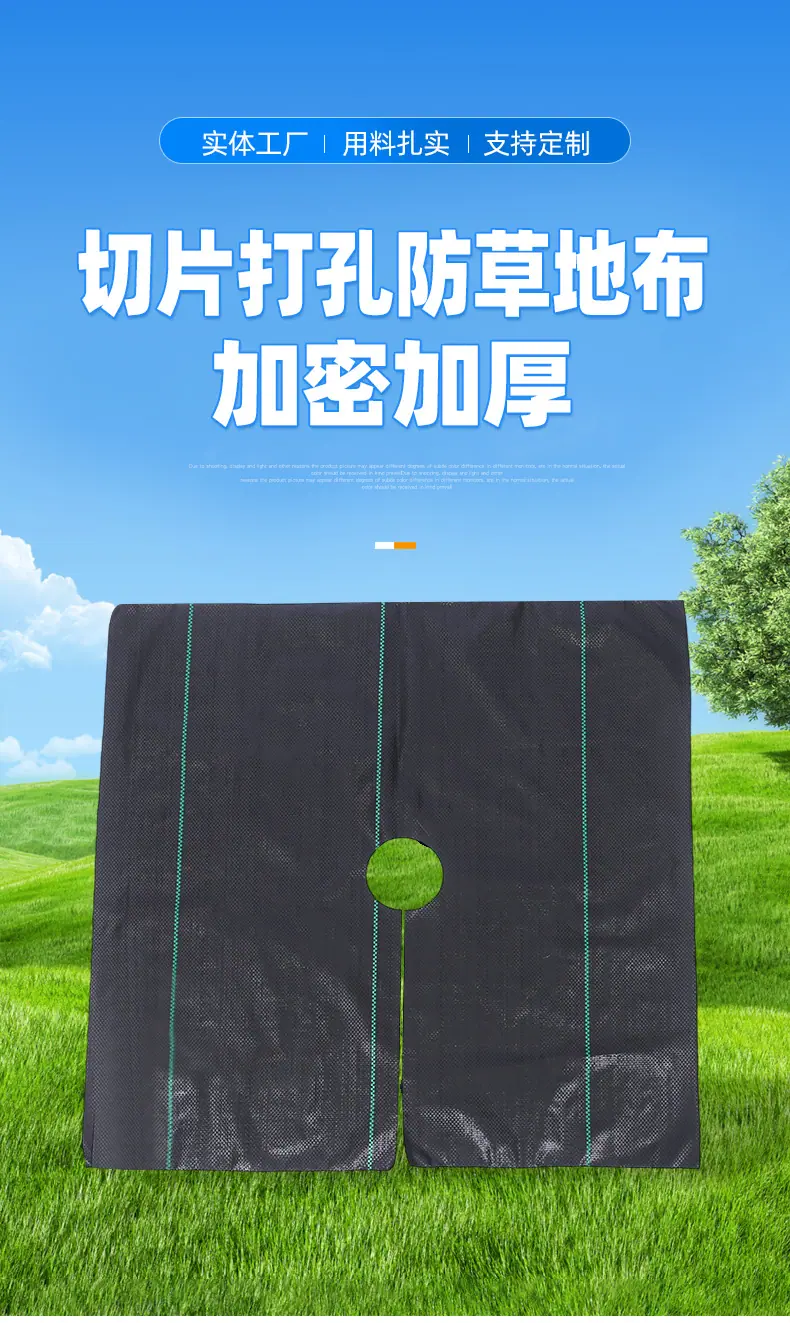 3-切片打孔防草地布_04