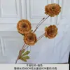 Maillard Color Otoño Color Café Centro Comercial Hotel Decoración Arreglo de Boda Flores Artificiales Rosas Flores Artificiales Hortensias Artificiales