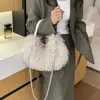 Bolso de peluche tipo dumpling exquisito estilo coreano ins, nuevo bolso de hombro versátil de moda 2026, bolso cruzado lindo y elegante