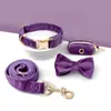 Set de Cuatro Piezas Personalizado de Terciopelo para Gato y Perro, con Correa, Corbata de Moño y Bolsas para Excrementos, Superventas Transfronterizo