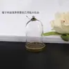 Accesorios para Figuras DIY La Rosa del Principito en una Cúpula de Cristal Adorno de Coche de Rosa Regalo de San Valentín Cumpleaños