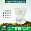 Textura Transparente Lavado de Manos OEM A Base de Plantas Limpieza Suave Espuma Rica Etiqueta Privada Personalización Fábrica ODM Venta Directa OEM