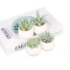 Suculenta Planta Taça de Diamante Bonsai Decoração Casa Escritório Es1178-4 Paisagem em Microfibra Aveludada Mini Alta Simulação