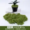 Simulação transfronteiriça musgo musgo artificial atacado diy mesa de areia planta paisagem gramado artificial planta parede de flores decoração