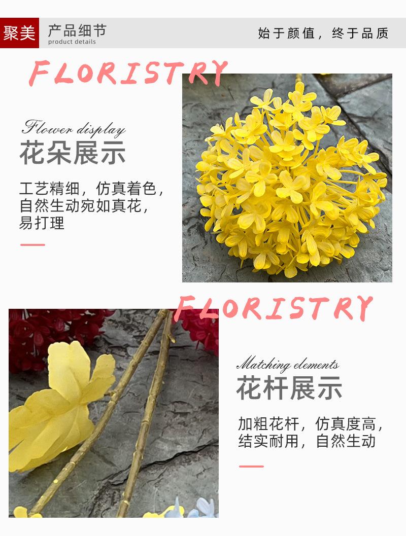 聚美-2头雪球-详情_03.jpg