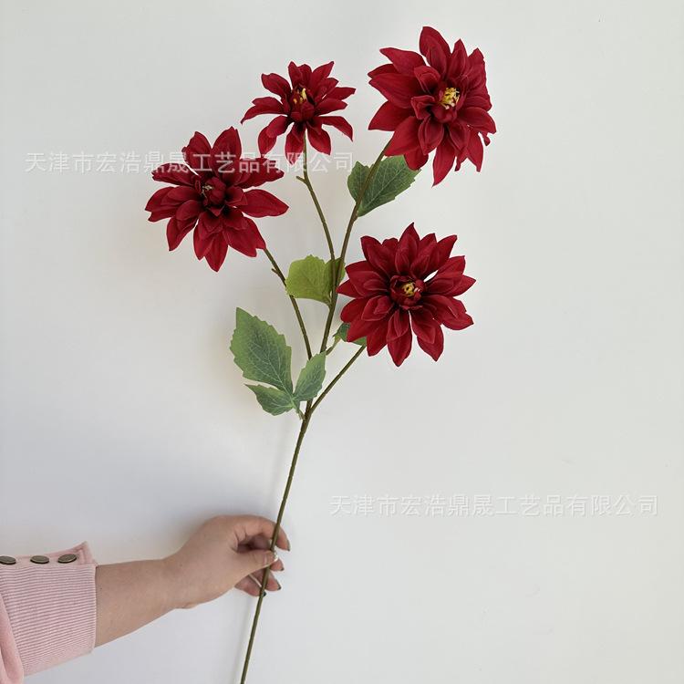 微信图片_202303271336512_副本