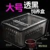 Caja Profesional para Cría de Reptiles, Caja para Reptiles, Caja para Árbol Grande, Mediana y Pequeña, Caja Cuadrada Pequeña, Doble Apertura para Arañas, Anti-Escapista
