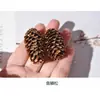 Pendientes de Planta, Fruta Seca Natural, Materiales para Pendientes de Calabaza, Joyería de Nicho Creativa Personalizada, Accesorios para Pendientes, Fruta