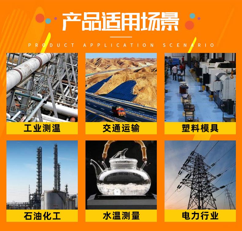 厂家授权代理商FLUKE51II双通道温度测试仪F52-2福禄克数显温度计