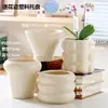 Vaso de Cerâmica para Flores com Prato, Estilo Ins de Luxo Leve, Diâmetro Grande, Estilo Creme, para Orquídeas e Suculentas, Liquidação