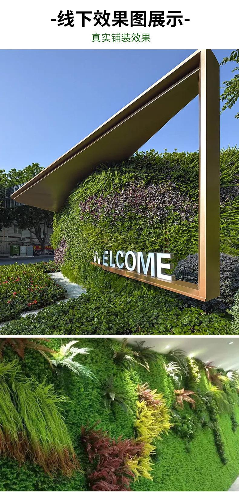 植物墙_04