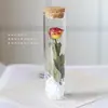 Tubo de Ensaio de Vidro Buquê de Flores Secas Flor Eterna Garrafa dos Desejos Espécime Casamento Formatura Aniversário Presente Flor Eterna