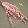 Flor Mágica Flor Eterna Hojas de Eucalipto 100g/Ramo Material DIY Día de San Valentín Material Hecho a Mano para Jarrón de Hogar