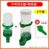 Bebedouro para Papagaio, Bebedouro para Pássaros, Comedouro para Pombos, Caixa de Comida para Codornas, Gadget de Alimentação, Comedouro Automático para Pássaros