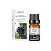 Aceite Esencial de Planta de Aromaterapia Soluble en Agua Perfumeoil Perfume Aceite Esencial de Aromaterapia Fragancia de Larga Duración Aceite Esencial de Aromaterapia Fresco
