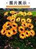 Fabricante de Luzes Decorativas Solares à Prova d'Água para Jardim, Parque, Villa e Gramado - Flor de Girassol Simulada