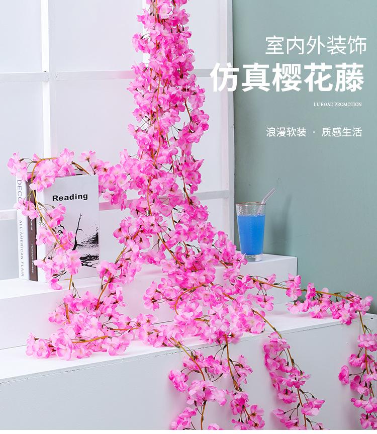樱花藤条_01