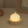 Quarto Concha do Mar Criativa Ouriço-like Ornamento de Mesa Estatueta Presente de Dia dos Namorados Luz Noturna Artesanal DIY Atmosfera