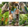 Cuerda de Sujeción para Pájaros, Correa Elástica para Pasear Pájaros al Aire Libre, Adecuada para Periquitos, Cacatúas y Agapornis