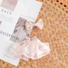 Solo Ropa de Bebé, Pétalos de Malla Rosa, Bordado de Encaje, Falda de Hada, Moño, Accesorios para Ropa de Muñeca
