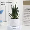 Venta al por mayor de plantas suculentas artificiales, lote mixto de plantas suculentas en maceta diamante, ventas directas de fábrica, decoraciones de plantas verdes para oficina