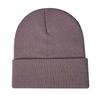 Fabricante Otoño e Invierno Cálido Gorro de Punto Placa Ligera Gorro Pulóver Estudiante Gorro Protección para las Orejas Europeo y Americano Amazon Versátil Serie Púrpura