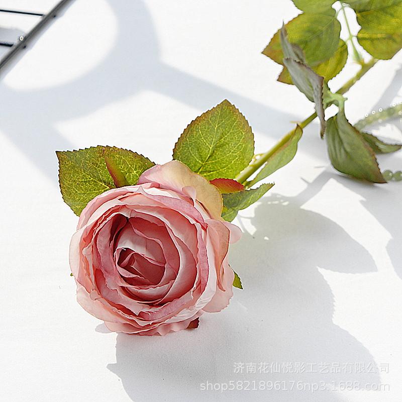 单支复古英国玫瑰