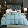 Edredom de penas autêntico qualidade de hotel, edredom de algodão, tamanhos individual e de casal para uso doméstico, núcleo de edredom para primavera e outono, edredom espesso de inverno, atacado e dropshipping disponíveis