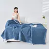 Colcha de Seda Fresca de Verano Transfronteriza Clase A Individual y Doble Lavable a Máquina Colcha para Aire Acondicionado Regalo Colcha Delgada Fabricante Venta al por Mayor
