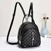 Item quente popular este ano bolsa pequena de celebridade da internet bolsa feminina novo estilo mochila fashion bolsa de ombro único transversal bolsa feminina