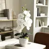 Bonsái de flor artificial Phalaenopsis de 6 flores grande transfronterizo para decoración de balcón de casa, entrada, flor falsa de tacto 3D, planta verde en maceta
